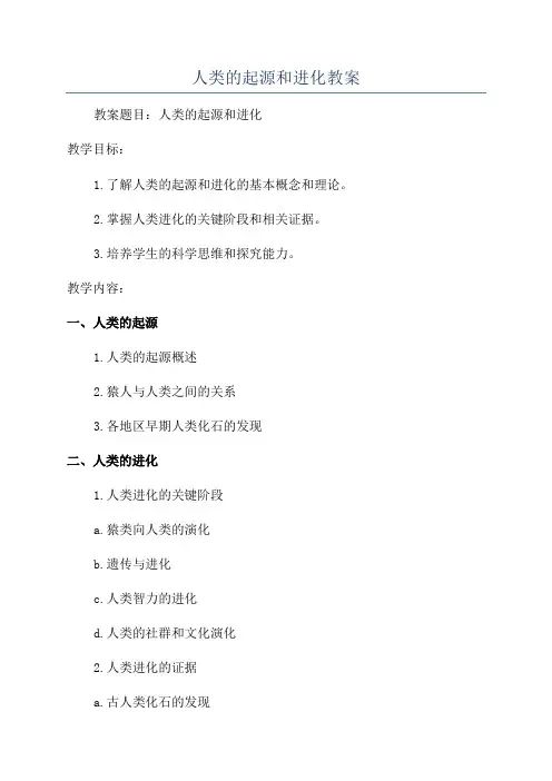 人类的起源和进化教案