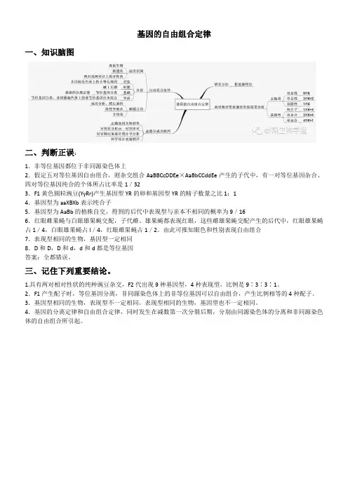 自由组合定律知识体系和易错归纳