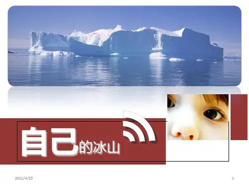 萨提亚—个人冰山理论-文档资料