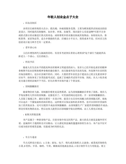 年轻人创业金点子大全
