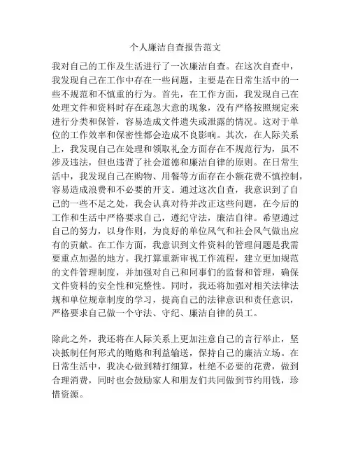 个人廉洁自查报告范文