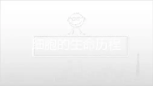 生物高考一轮复习—细胞的生命历程ppt