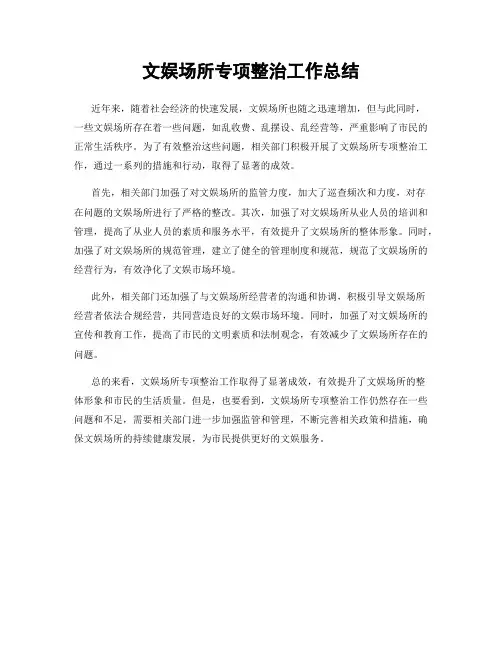 文娱场所专项整治工作总结