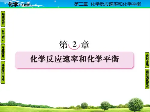 人教版化学选修4第二章第一节课件