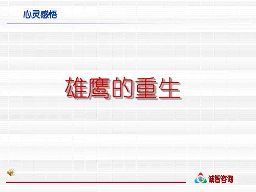 雄鹰的故事