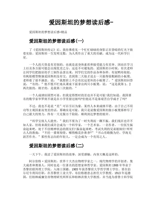 爱因斯坦的梦想读后感