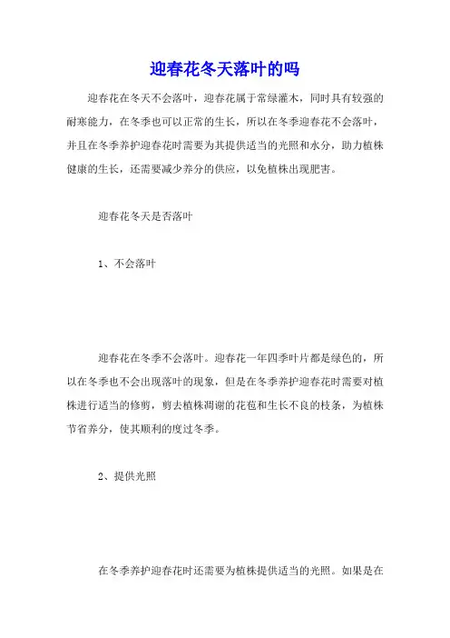 迎春花冬天落叶的吗