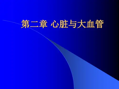 心脏与大血管影象