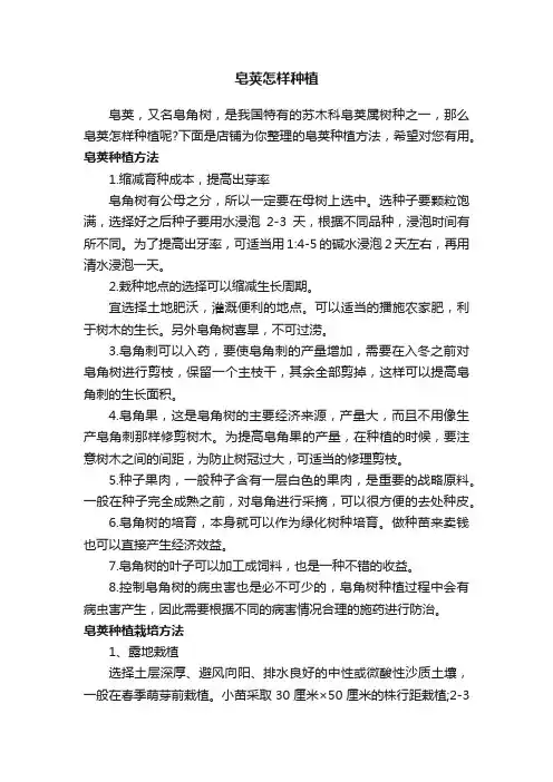 皂荚怎样种植