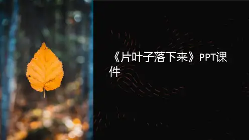 《片叶子落下来》课件