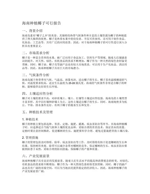 海南种植椰子可行报告