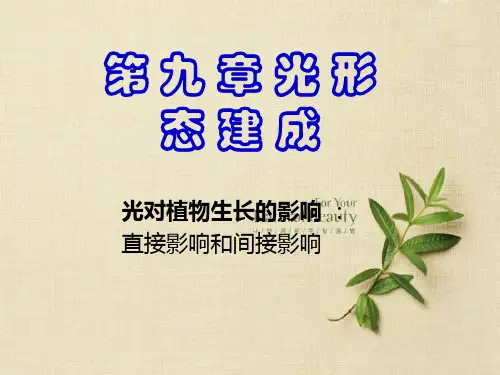 植物生理学 第九章