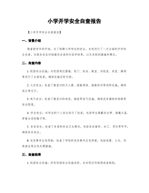 小学开学安全自查报告