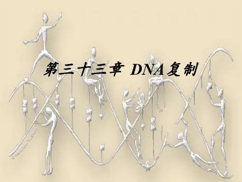 第三十三章 DNA复制