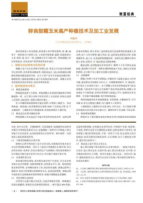 鲜食甜糯玉米高产种植技术及加工业发展