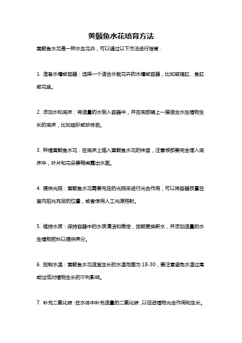 黄颡鱼水花培育方法