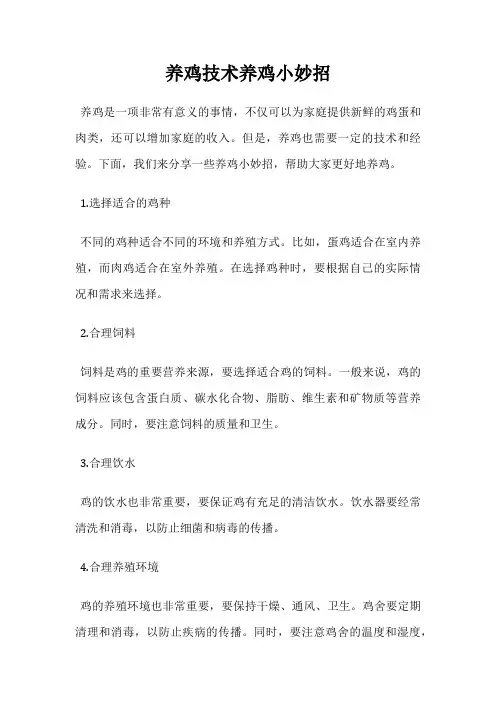 养鸡技术养鸡小妙招