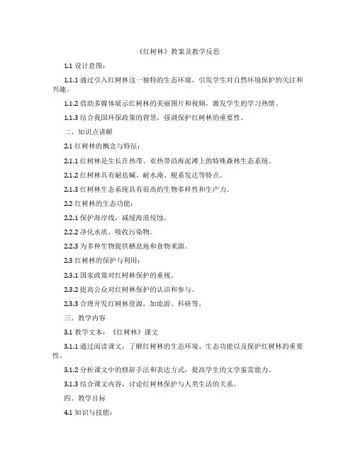 《红树林》教案及教学反思