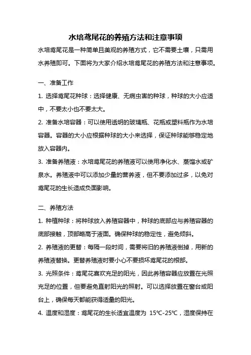 水培鸢尾花的养殖方法和注意事项