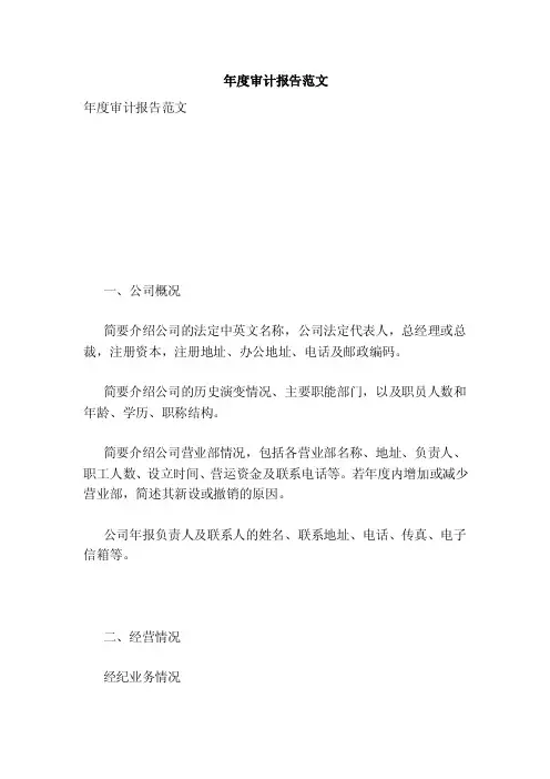 年度审计报告范文（完整版）