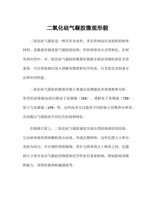 二氧化硅气凝胶微观形貌