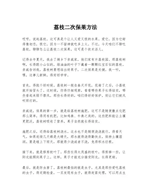 荔枝二次保果方法