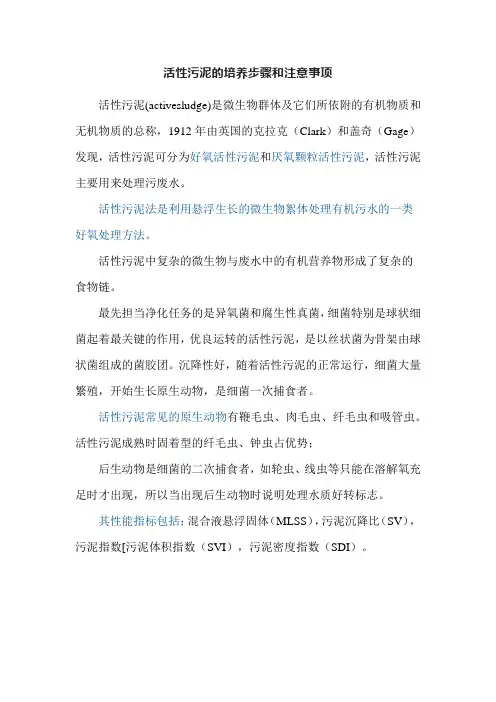 活性污泥的培养步骤和注意事项
