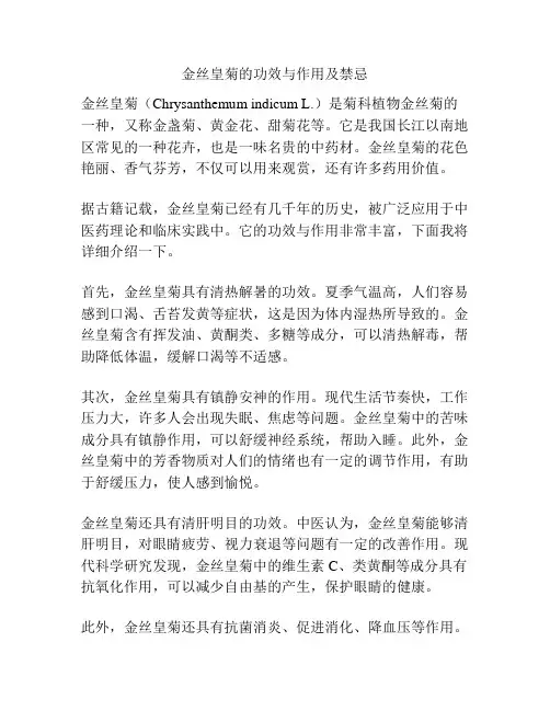 金丝皇菊的功效与作用及禁忌