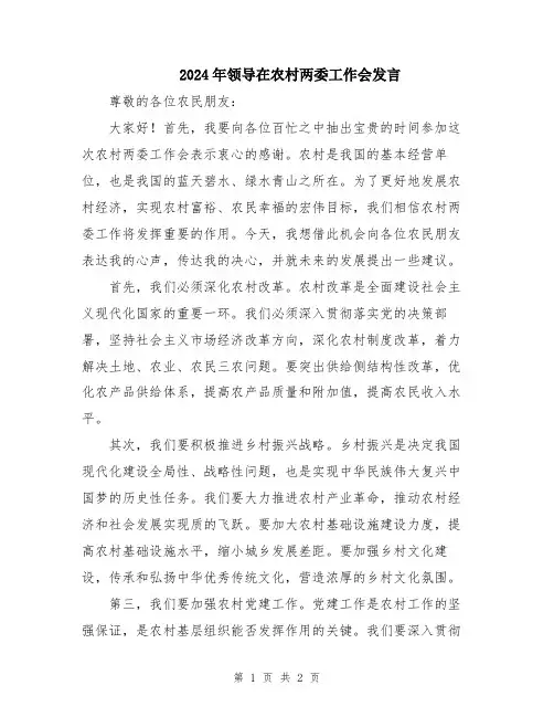 2024年领导在农村两委工作会发言