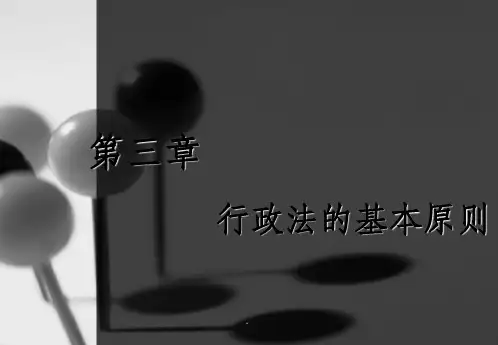 行政法(第三章)