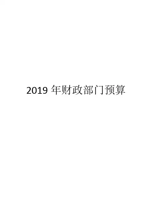 2019年财政部门预算.doc