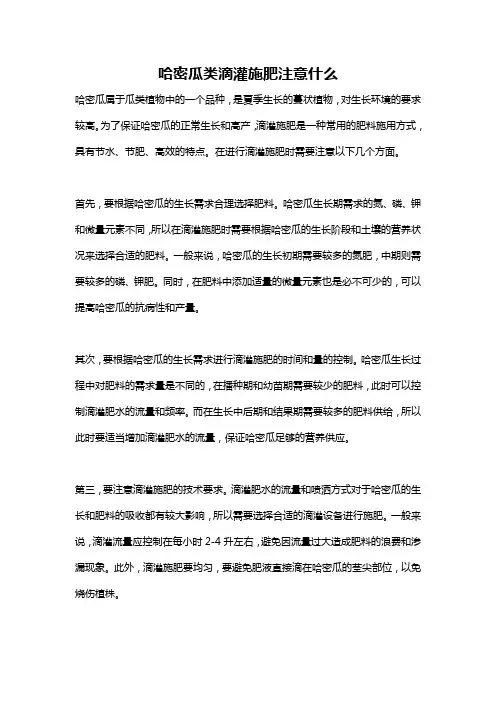 哈密瓜类滴灌施肥注意什么