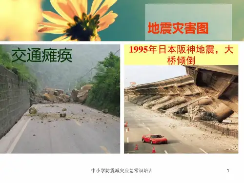 中小学防震减灾应急常识培训课件