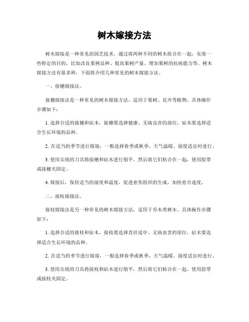 树木嫁接方法
