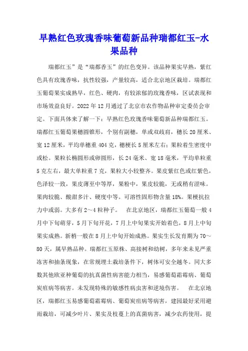 早熟红色玫瑰香味葡萄新品种瑞都红玉 - 水果品种