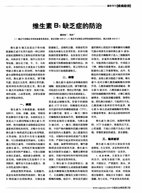 维生素B1缺乏症的防淮