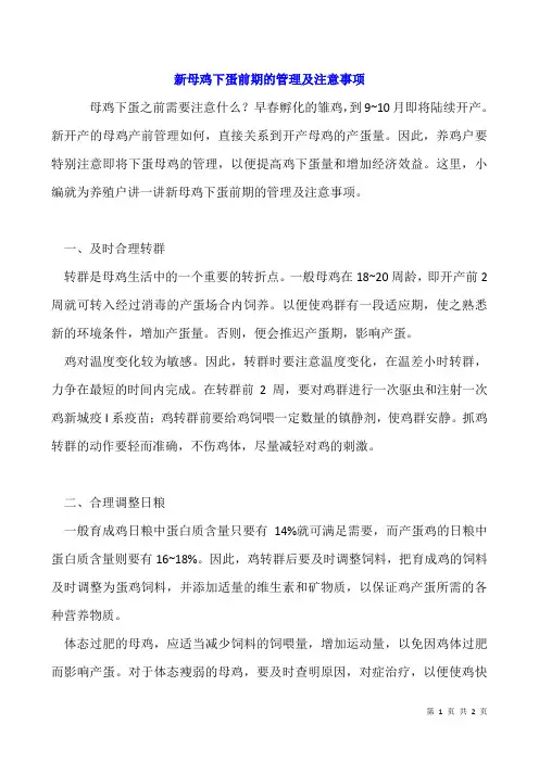 新母鸡下蛋前期的管理及注意事项