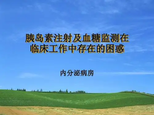 胰岛素注射及血糖监测存在的困惑PPT课件