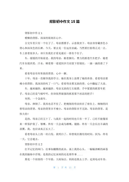 背影初中作文15篇_2