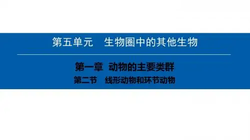 第五单元-第一章-第二节 线形动物和环节动物