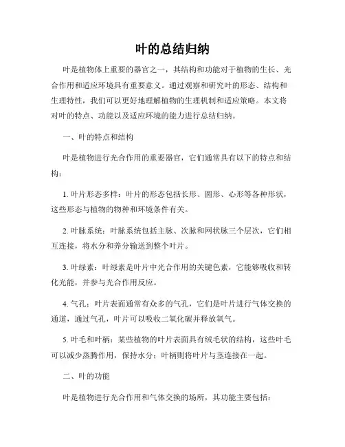 叶的总结归纳