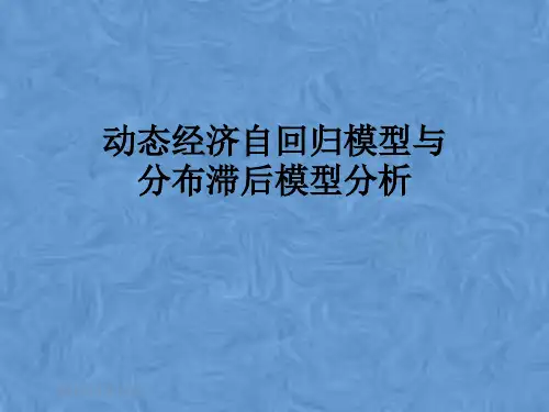 动态经济自回归模型与分布滞后模型分析
