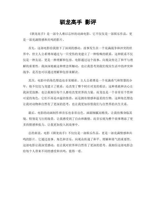 驯龙高手 影评