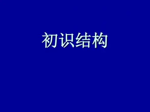 1.1初识结构.ppt