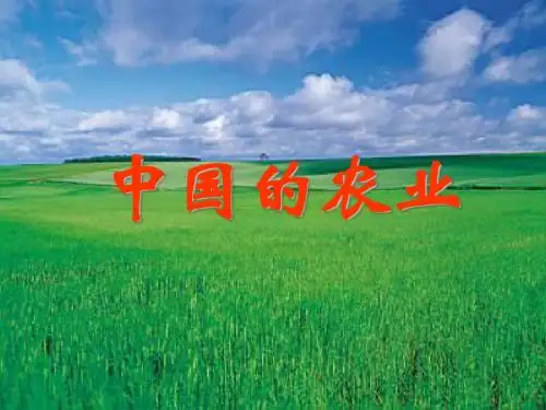 中国的农业