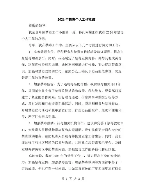 2024年禁毒个人工作总结