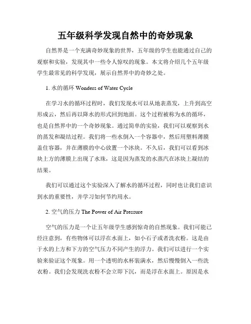 五年级科学发现自然中的奇妙现象
