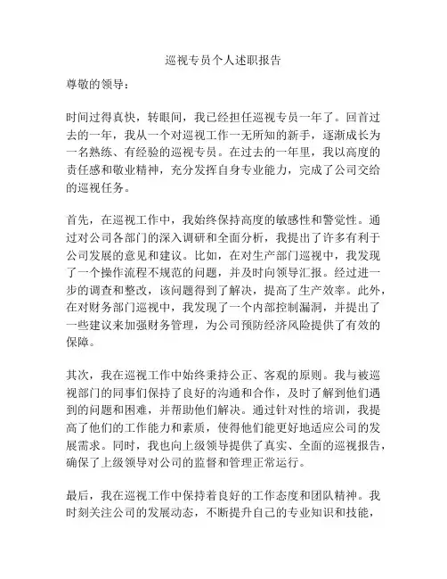 巡视专员个人述职报告