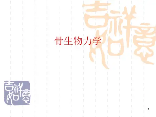 骨生物力学教学ppt课件