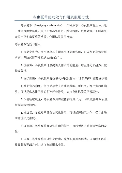 冬虫夏草的功效与作用及服用方法